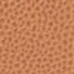Field Brown