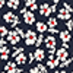 Navy/Red Multi