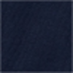 French Navy
