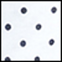 White/Navy