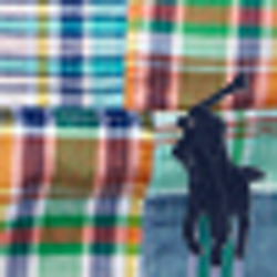 Patchwork