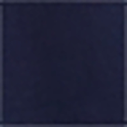 Cruise Navy