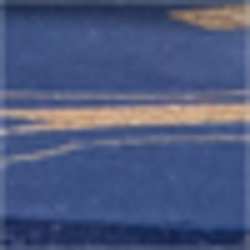 Modern Navy/Rl Gold