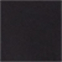 Polo Black