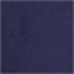 Cruise Navy
