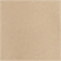Coastal Beige