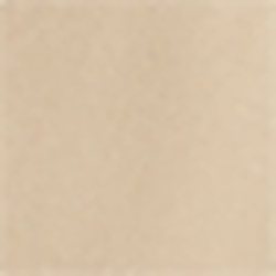 Coastal Beige