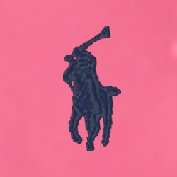 Chroma Pink