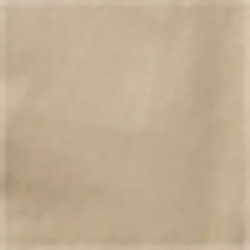 Coastal Beige