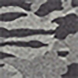 Grey Camo