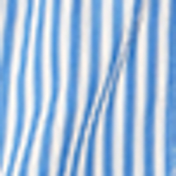 Blue/White