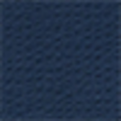 Summer Navy