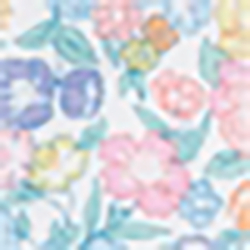 White/Blue/Multi