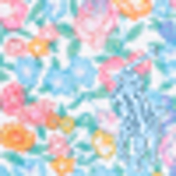 White/Blue/Multi