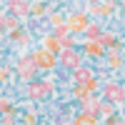 White/Blue Multi