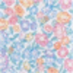 White/Blue/Multi