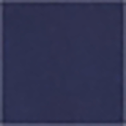 Cruise Navy