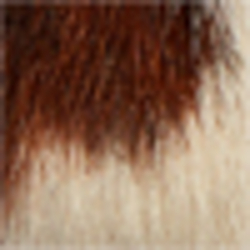 Brown / Cream Multi