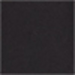 Polo Black