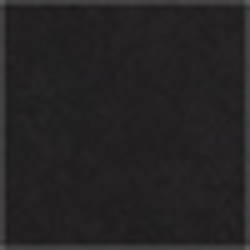 Polo Black