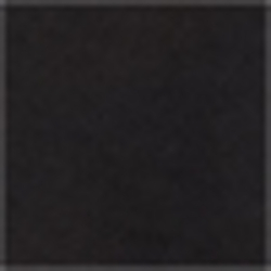 Polo Black/Empress Blue