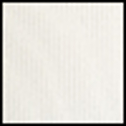 Cream/Polo Black