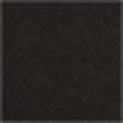 Polo Black