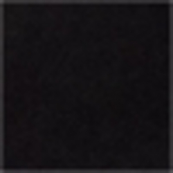 Polo Black