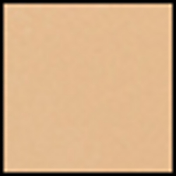 Palomino