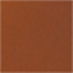 Field Brown/Monarch Orang