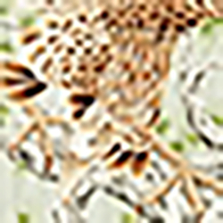 Hawaiian Multi Print