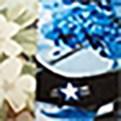 Hawaiian Multi Print