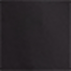 Polo Black