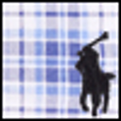 Plaid/Cruise Pp