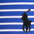 Royal/Stripe/Navy Pp