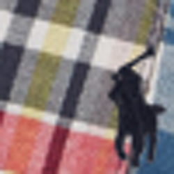 Patchwork