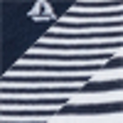 Nvast