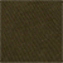 Company Olive