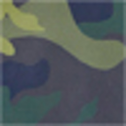 Olive Camo