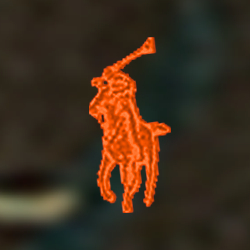 Camo