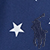 American Navy