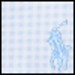 Blue Hyacinth/White