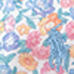 White/Blue/Multi
