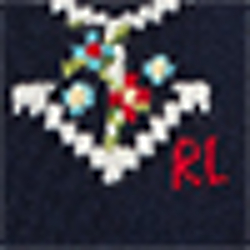 Hunter Navy