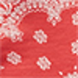 Red Bandana