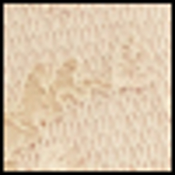 Sand