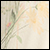 Parchment