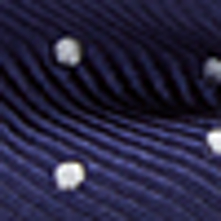 Navy/White