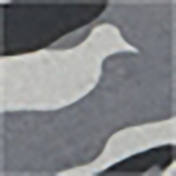 Black Camo