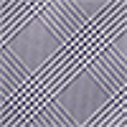 Purple/White